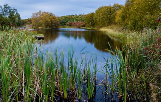 Megs Lake set in a 20 acre reserve
