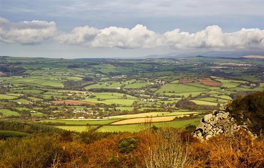 Stunning local walks (Kit Hill)
