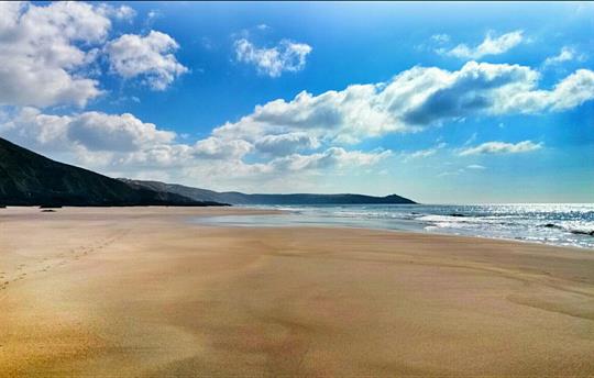 Dog-friendly local beaches