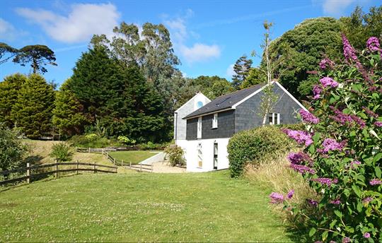 Tree Barn with Owl behind