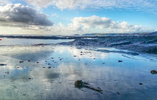 Great rockpooling at Seaton 