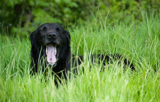 Holidays are hard work!