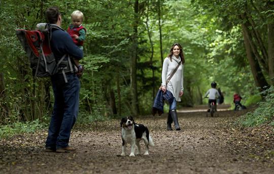 Woodland trails start right at your barn door