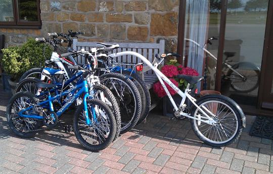 Hiring of bike for all the family