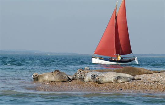 Blakeney Point