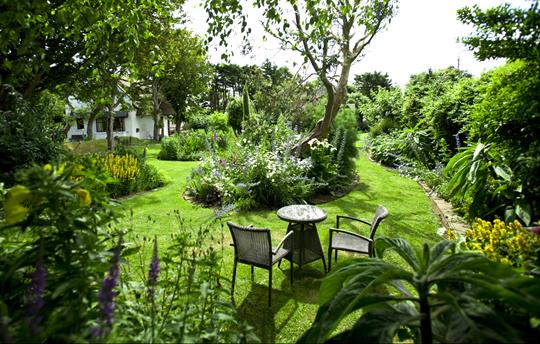 Beautiful organic cottage gardens 