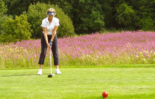 40 + Links & Parkland courses.