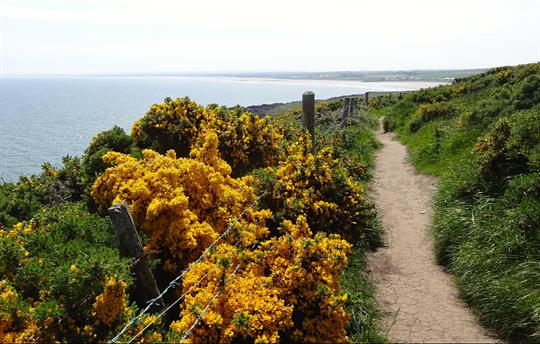 Superb walking and hiking