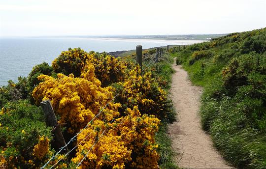 Coastal, hill and river walks