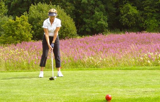 40 + links and parkland courses