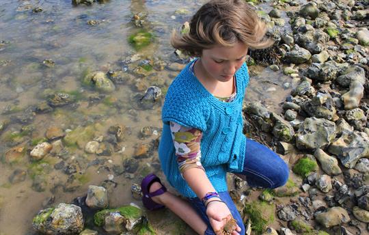 Crabbing at West Runton