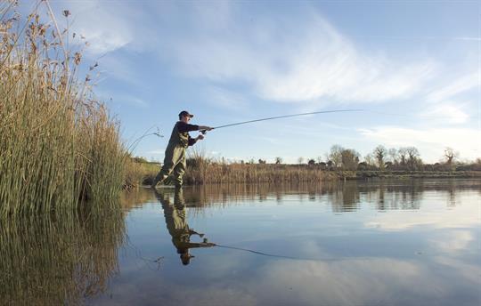 Choice of Fishing on River Boyne.