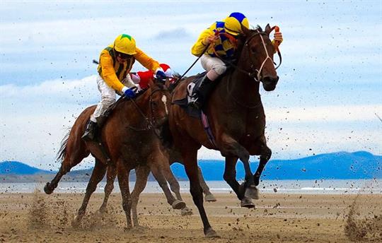 Excellent choice of horse racing venues.