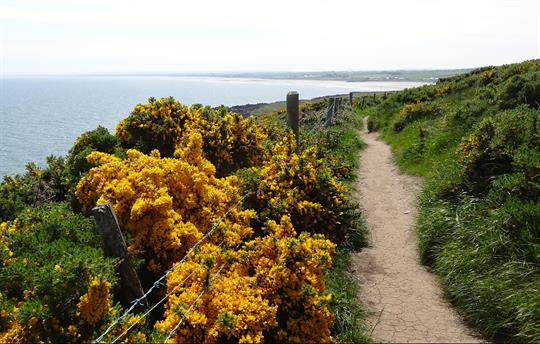 Inviting coastal and hill walking.