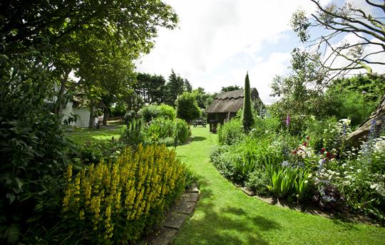 Superb organic flower gardens.