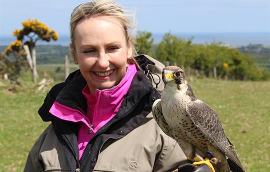 Hawk walking and Falconry.