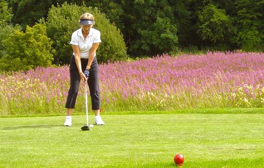 40 + Links and Parkland courses