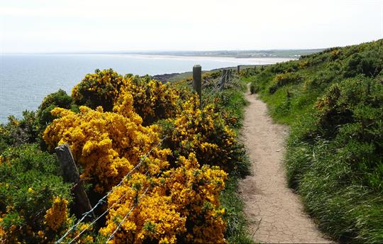 Excellent coastal and hill walking