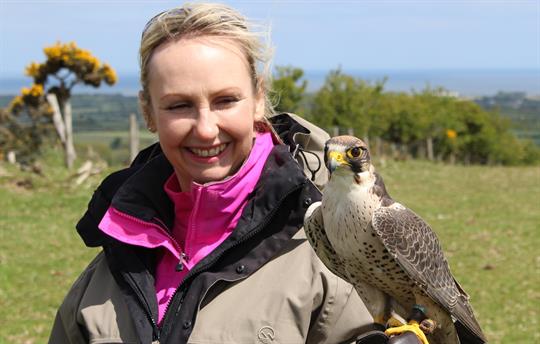 Hawk walking and Falconry