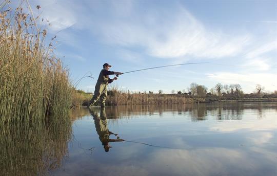 Choice of Fishing on River Boyne
