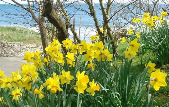 Stunning Spring Break location