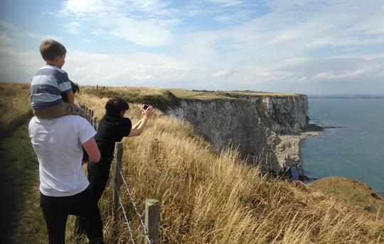 Summer on our cliff top land