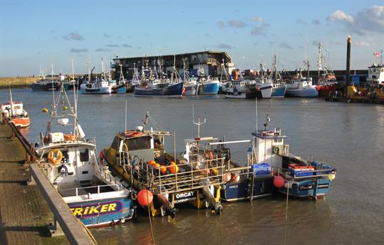Bridlington harbour fishing fleet