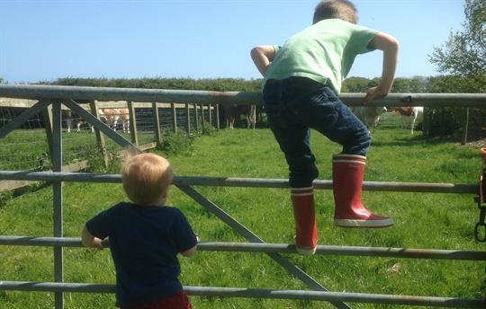 Children on the farm