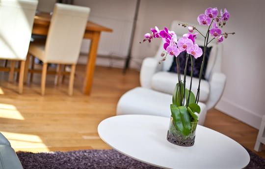 The Folly has glamour