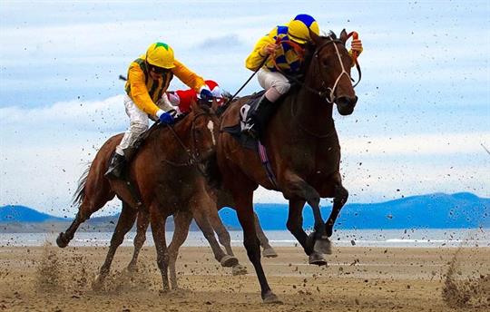 Excellent choice of Racing venues