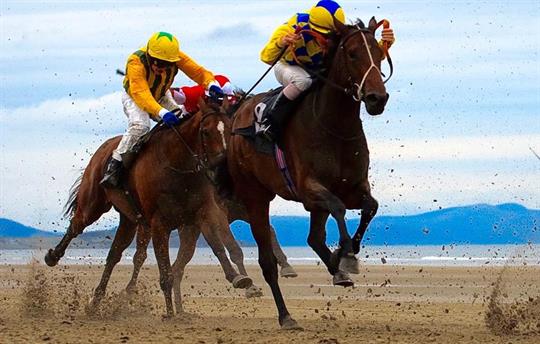 Excellent choice of Racing venues