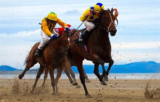 Excellent choice of Racing venues