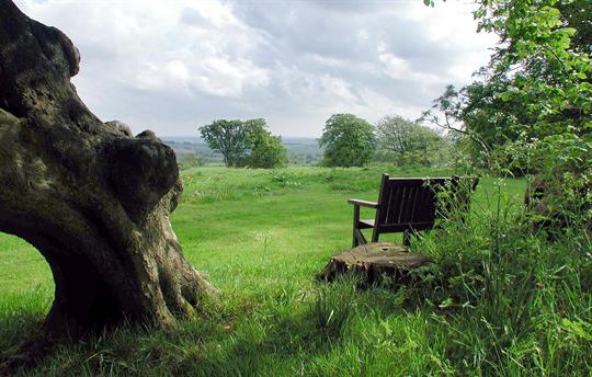 View to the south from Beacon Hill