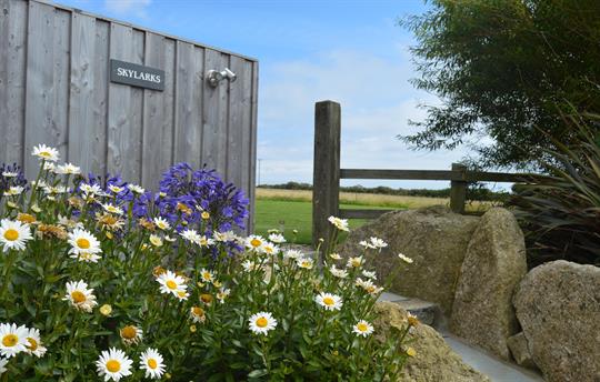 Gardens and large patios