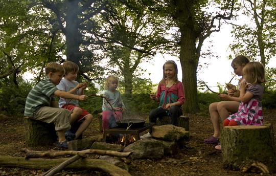 Sausage sizzle in our 40 acre wood