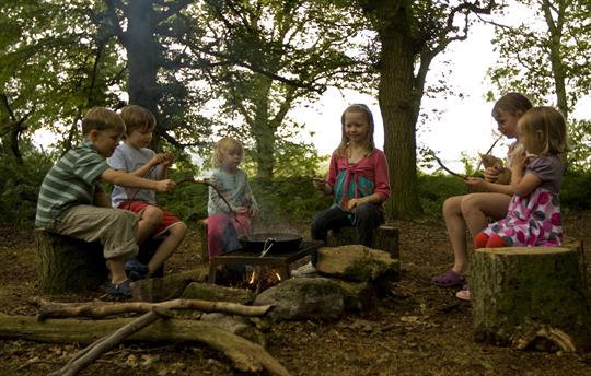 Sausage sizzle in our 40 acre wood