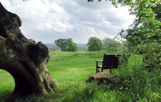 View to the south from the gardens
