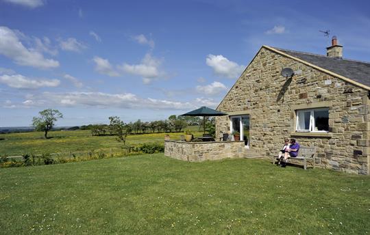 Curlew with view to the west