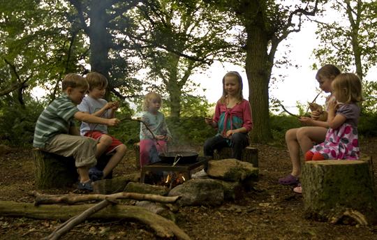 Sausage sizzle in our 40 acre wood