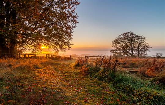 Sunrise from the cottage