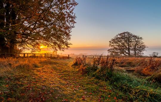 Sunrise in the front park