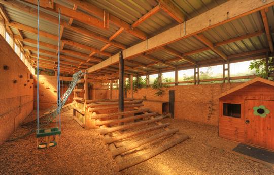 Indoor adventure playground