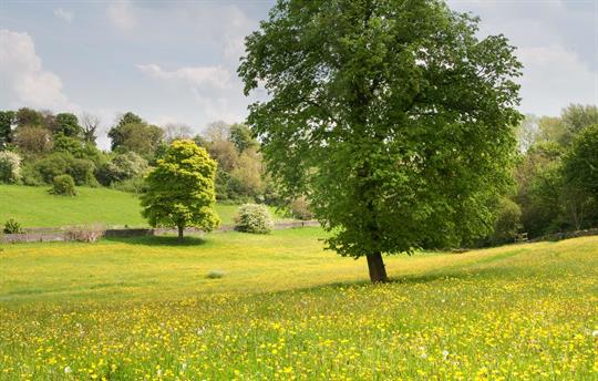 View from  Monsal Trail