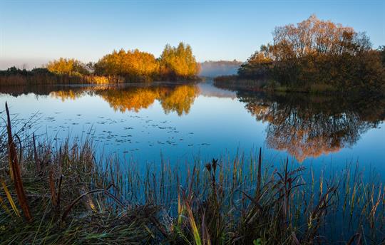 Meg's lake at dawn