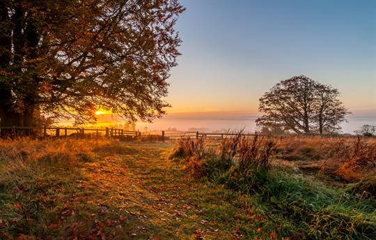 Sunrise in the front field