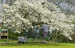 Spring at Broomhill Manor