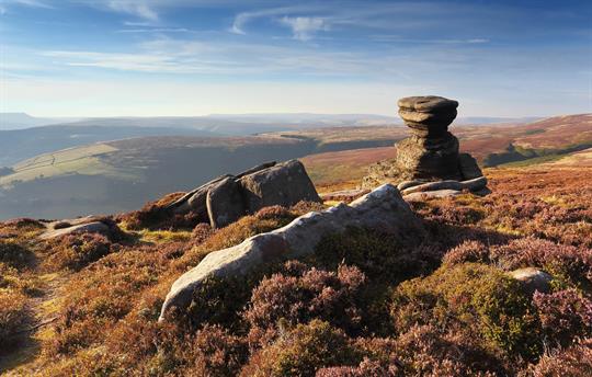 Heather Time on Derwent Edge
