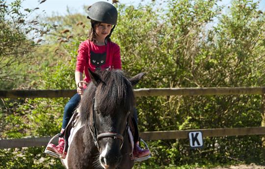 Onsite horse riding at Broomhill