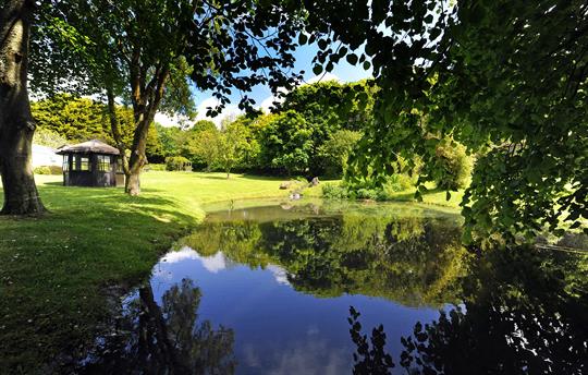 Beautiful pond in the lower gardens