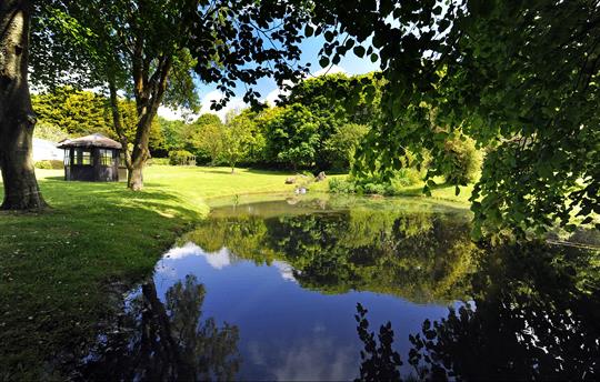 Beautiful pond in the lower gardens